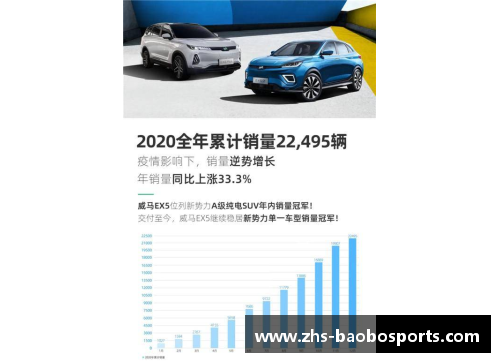 宝博体育威马2020全年销量22,495辆四季度创历史新高EX5稳居造车新势力榜首 - 副本