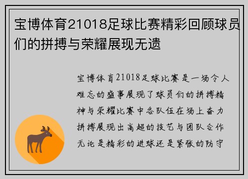 宝博体育21018足球比赛精彩回顾球员们的拼搏与荣耀展现无遗