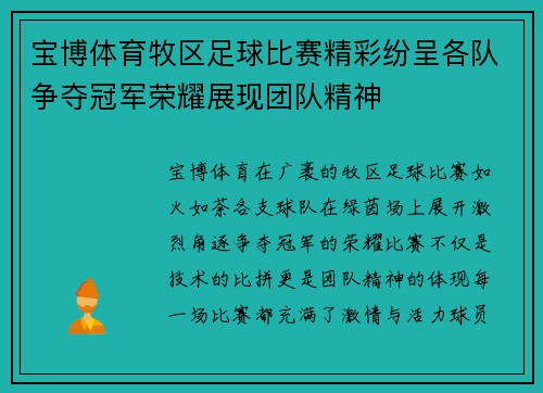 宝博体育牧区足球比赛精彩纷呈各队争夺冠军荣耀展现团队精神